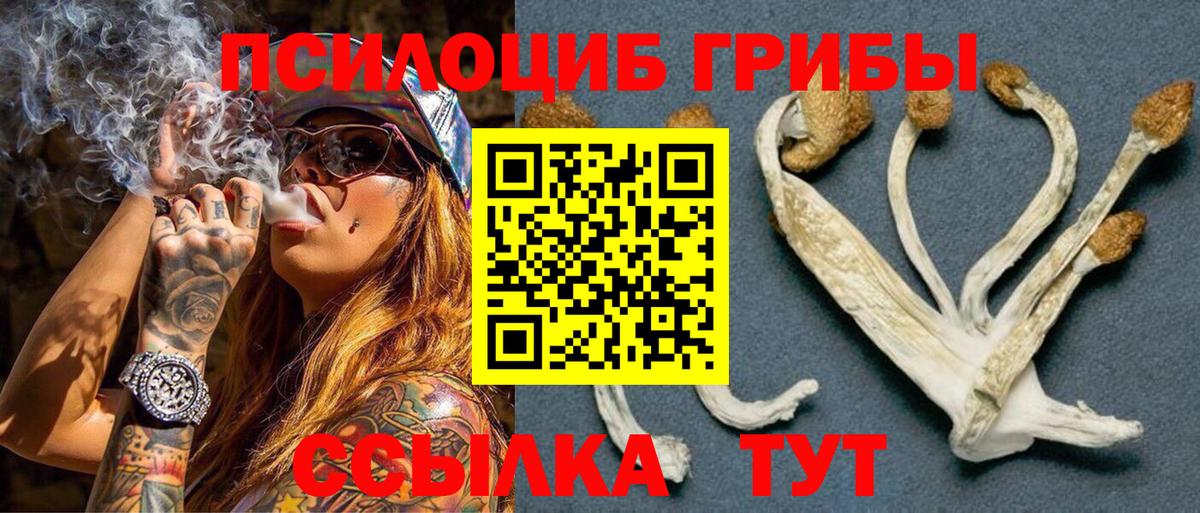 Клин  Псилоцибиновые грибы прущие грибы  Вход с VPN 